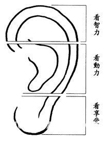 耳朵白 面相|耳朵面相算命圖解大全